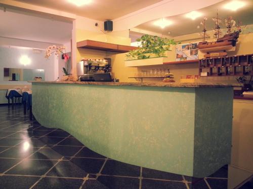 拉帕洛米尼翁波斯塔酒店 的一间厨房,在房间内配有绿色的柜台