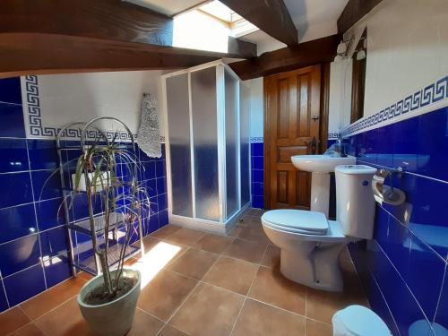 多摩Casa Santa Leocadia的蓝色的浴室设有卫生间和水槽