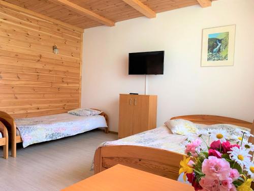 圣凯瑟琳Agro-Jaga的客房设有两张床和一台平面电视。
