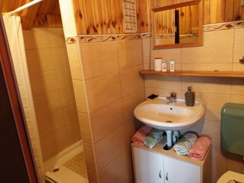 普利特维采湖Apartmani San的一间带水槽和淋浴的小浴室