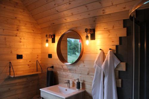 阿伊多夫什契纳Hiška-Glamping的一间带水槽和镜子的浴室