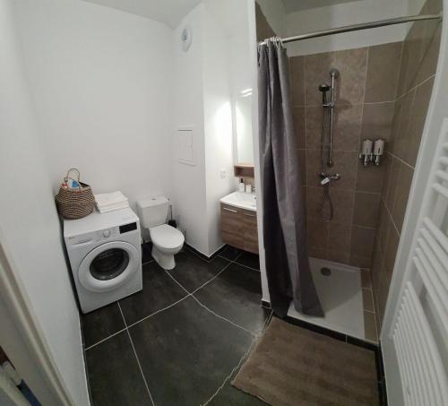 马赛Appartement Plage Prado/Vélodrome的带淋浴、卫生间和洗衣机的浴室