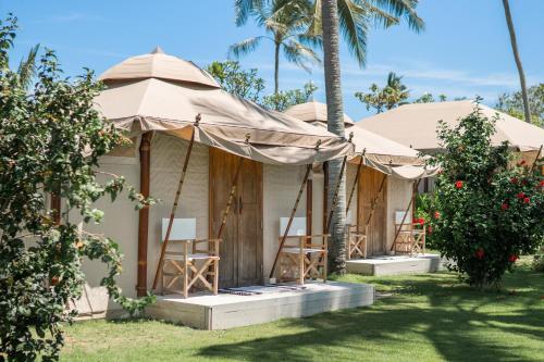 塔巴南Bali Beach Glamping的棕榈树庭院里的一组帐篷