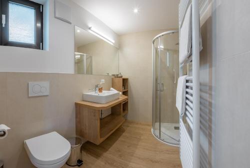 拉布拉梅林斯泰恩加尼酒店的浴室配有卫生间水槽和淋浴。