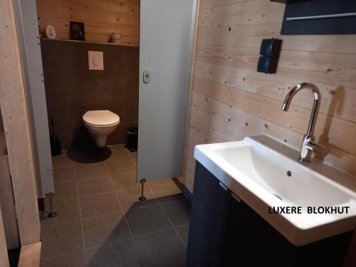 ZwiggeltetHoefijzer Luxere Blokhutten - 5 personen的一间带水槽和卫生间的浴室