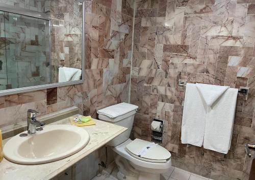 伊达尔戈州波萨里卡Hotel Victoria Poza Rica by Brahma的一间带卫生间、水槽和镜子的浴室