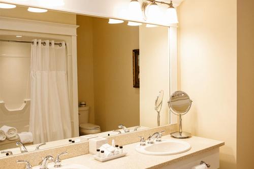 滨湖尼亚加拉河湾葡萄园酒店的一间带水槽和大镜子的浴室