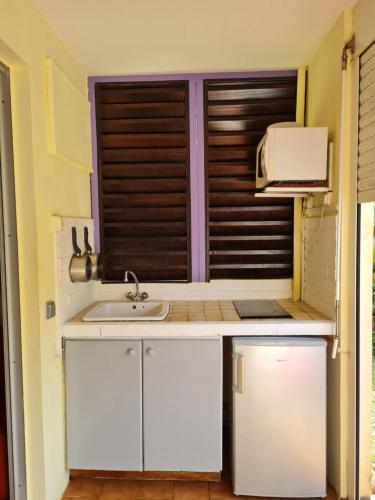 圣安娜多巴哥一室公寓的厨房配有水槽和微波炉