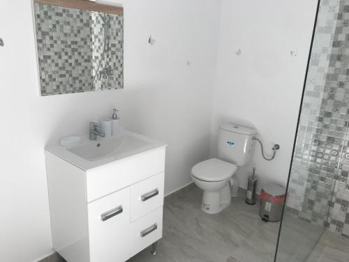 南埃福列CasaRiana 5的浴室配有卫生间、盥洗盆和淋浴。