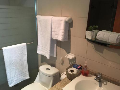 瓜亚基尔River View Suites Guayaquil的浴室配有卫生间、水槽和毛巾。