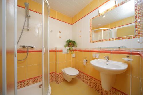 什平德莱鲁夫姆林伊丽莎白旅馆的一间带水槽、卫生间和淋浴的浴室