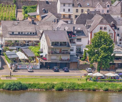 摩泽尔河畔的泽尔Ferienhaus An der Mosel的享有河畔小镇的空中景致