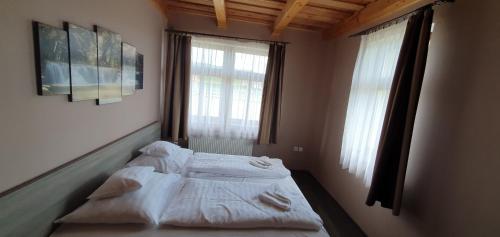 代姆延Elringat-lak Apartmanház的配有2扇窗户的客房内的1张床