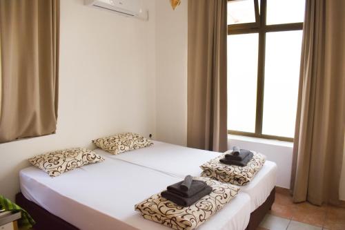 沙巴茨Apartmani Petra Sabac的带窗户的客房内设有两张单人床。