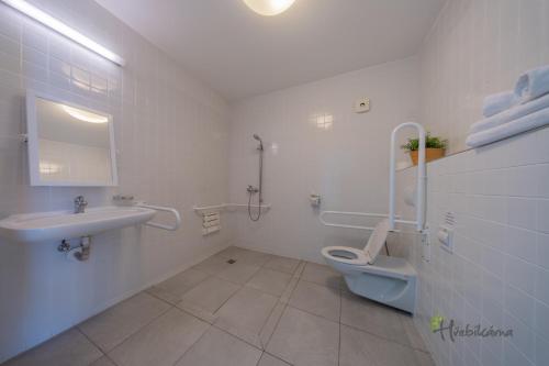 霍穆托夫赫比卡纳餐厅旅馆的一间带卫生间和水槽的浴室