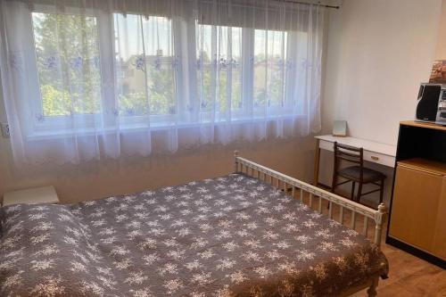 沃鲁Võru Villa, saun, grill, jalgrattad, ideaalne perepuhkus!的卧室在窗户前配有一张床