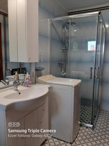 鲍洛通拜雷尼Tilesch Apartment的一间带水槽和玻璃淋浴的浴室