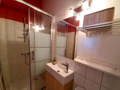 阿姆博斯En plein Coeur : charmant gite centre Amboise的浴室配有盥洗盆和带镜子的淋浴