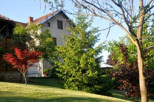 内戈廷Guesthouse Djurić的院子里有树木和灌木的白色房子