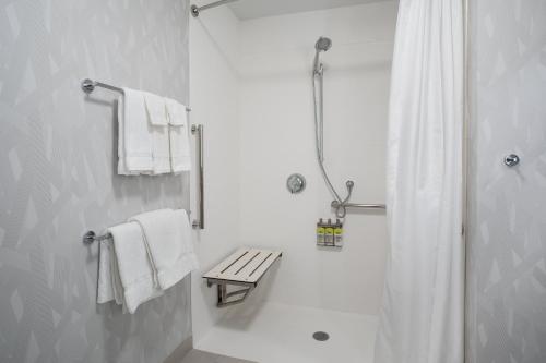 Holiday Inn Express & Suites - Denver NE - Brighton, an IHG Hotel的一间浴室