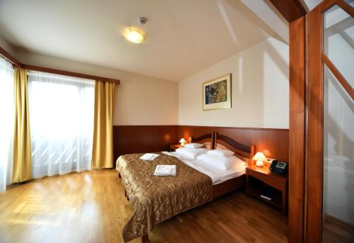 KisújszállásHotel Kumánia的酒店客房设有床和窗户。