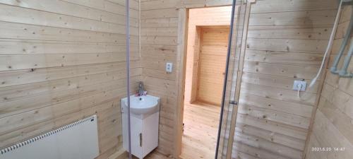 博罗沃耶ZHANUYA HOUSE的木制浴室设有卫生间和淋浴。