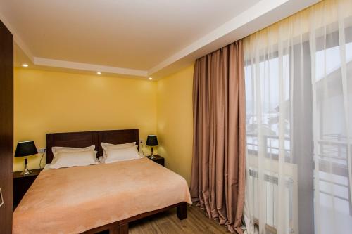 巴库里阿尼水晶山坡度假村的一间卧室设有一张床和一个大窗户