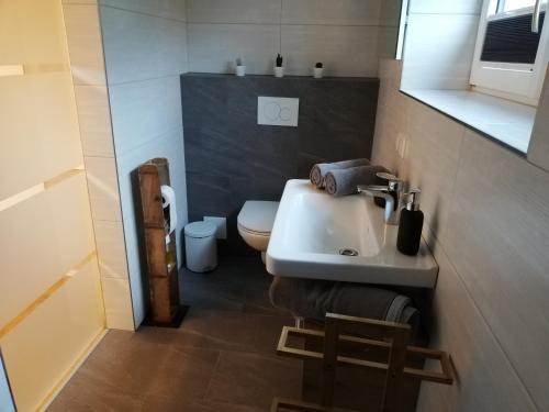 阿尔陶塞Haus Horvath Bett und Brot的浴室配有白色水槽和卫生间。