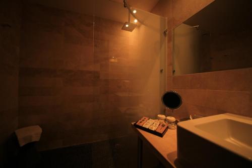 宛图里那德拉特姆酒店的带淋浴、盥洗盆和镜子的浴室