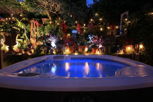 洛杉矶The Green Ginger Guest House的花园内的热水浴池,配有圣诞灯
