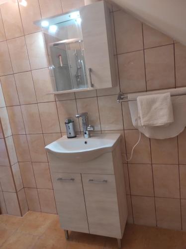莫劳豪洛姆Maros Vendégház的浴室设有白色水槽和镜子