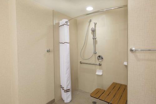 新奥尔良温德姆新奥尔良法国区酒店的带淋浴和浴帘的浴室