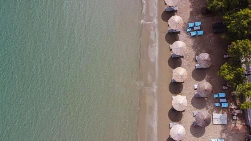 利瑟昂Almiriki Chios Rooms & Apartments的享有海滩和大海的壮丽景色。