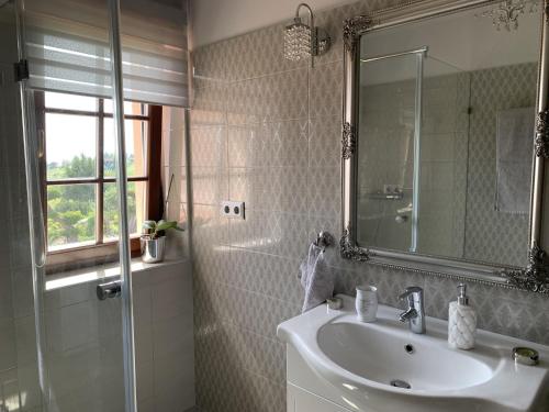 佐洛埃格塞格Villa Garden的浴室配有盥洗盆和带镜子的淋浴