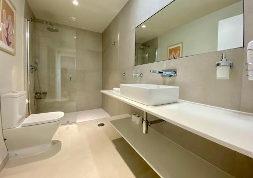 庞特维德拉PUENTE SANTIAGO APOSTOL的一间带水槽、卫生间和镜子的浴室