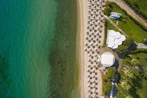 Kassandra Palace Seaside Resort鸟瞰图