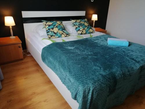 琴斯托霍瓦Apartament M-3的一张带绿毯和两个枕头的大床
