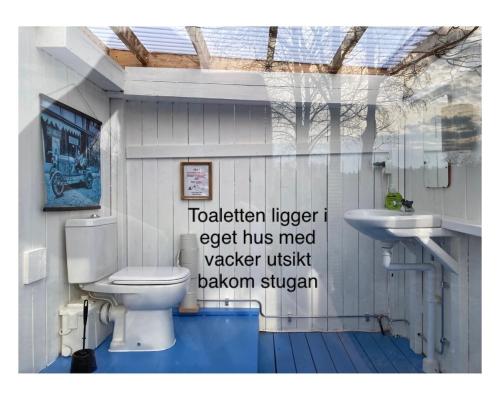 乌拉勒德Torpet Längtan的一间带卫生间和水槽的浴室