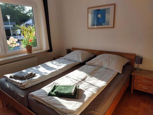 弗伦斯堡Haus Finisberg的卧室设有两张床,带窗户