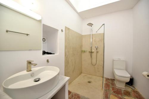 伊兹拉Hydra Hospitality Port Apartment的一间带水槽、淋浴和卫生间的浴室