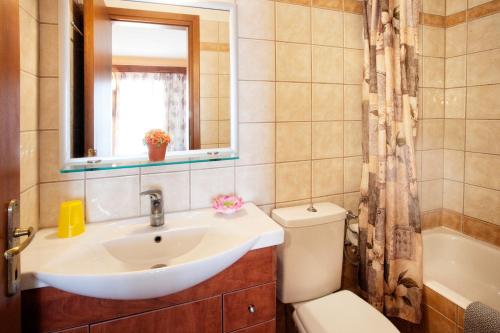 特劳洛斯La Luna Hotel的一间带水槽、卫生间和镜子的浴室