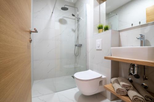 内乌姆Villa Catalpa的带淋浴、卫生间和盥洗盆的浴室