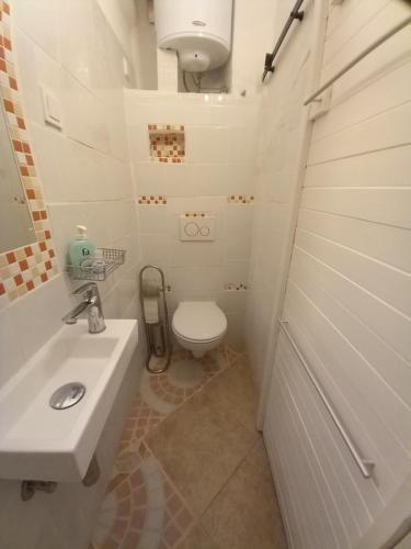 罗维尼Bunari Studio Apartment的白色的浴室设有卫生间和水槽。