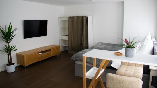 杜塞尔多夫unique flat的客房设有1张床、1张桌子和1台电视。