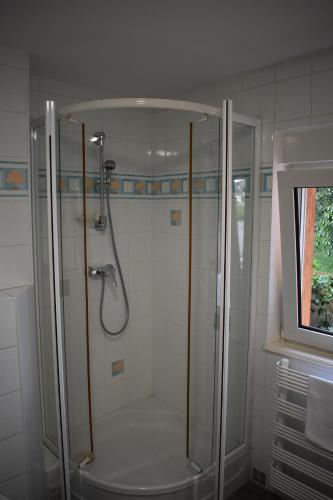 圣伊波利特Chez Max Alsace的带淋浴的浴室和玻璃门