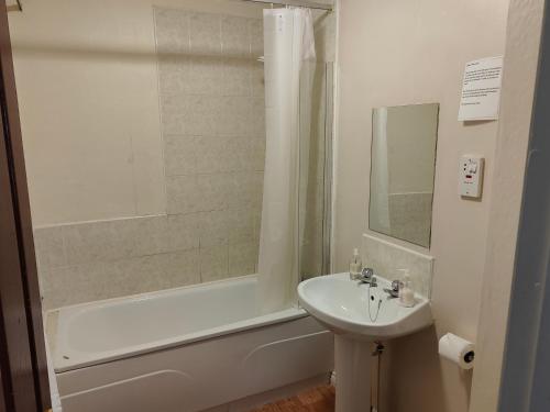托明陶尔Richmond Arms Hotel的浴室配有盥洗盆、浴缸和盥洗盆