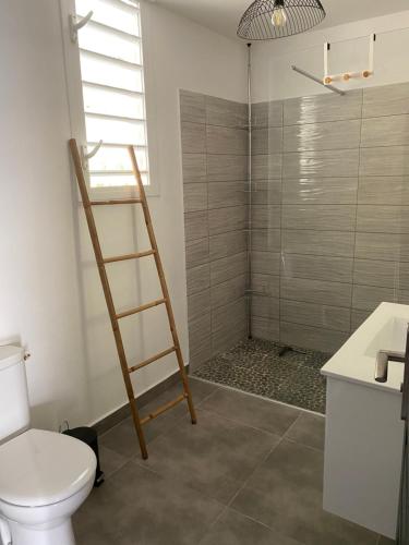 萨莱比梅VILL'ARBOREE的浴室设有卫生间和带梯子的淋浴