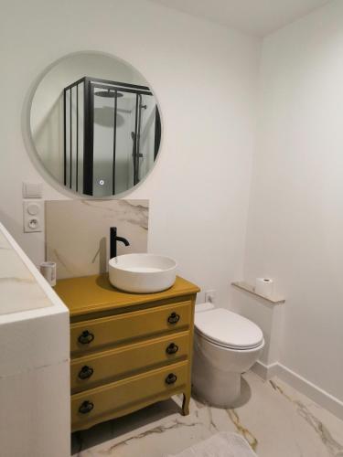 圣布里文莱丝皮恩Un petit coin de paradis的一间带水槽、卫生间和镜子的浴室