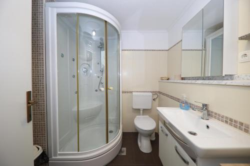 本科瓦茨Country House Korlat的带淋浴、卫生间和盥洗盆的浴室