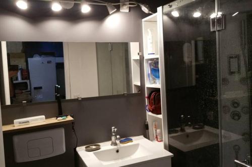 卡尔萨克阿亚克L'abreuvoir, Gite du 18 siecle, accés indépendant的一间带水槽和淋浴的浴室